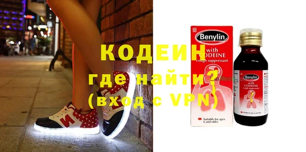 индика Балабаново