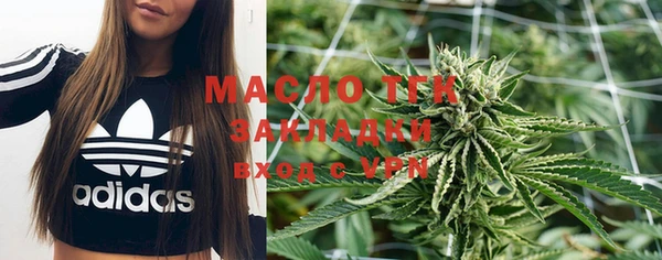 индика Балабаново