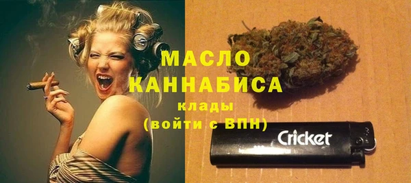 индика Балабаново