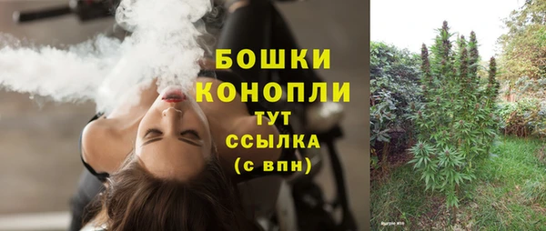 индика Балабаново